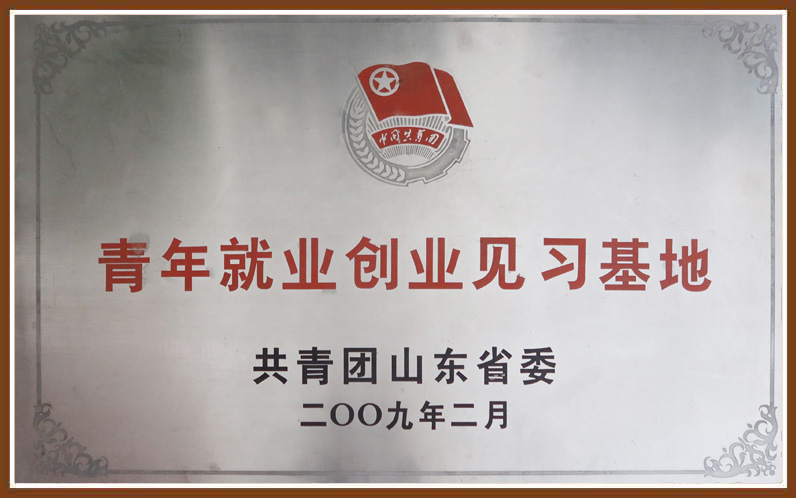 yp街机·电子游戏(中国)官方网站