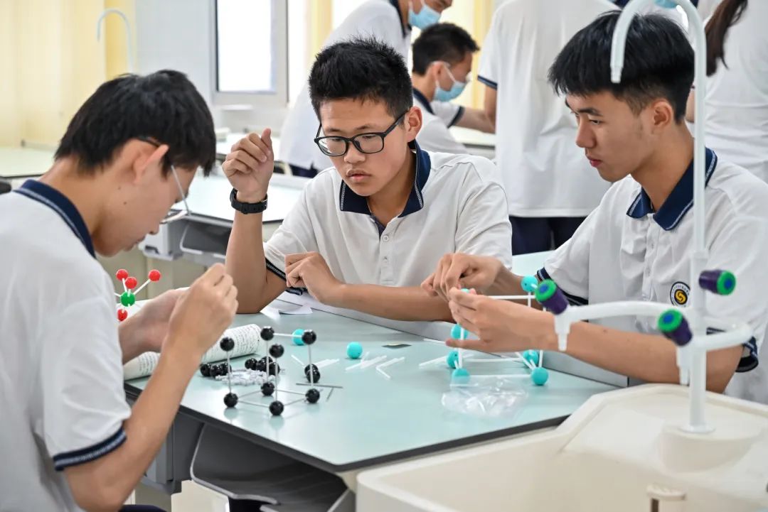 yp街机·电子游戏(中国)官方网站