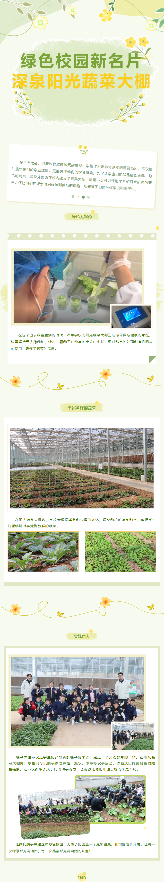 yp街机·电子游戏(中国)官方网站