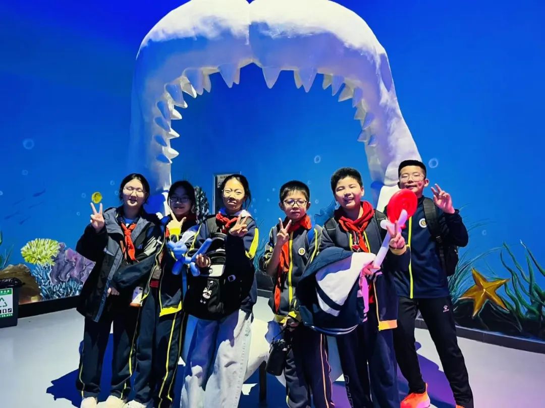 yp街机·电子游戏(中国)官方网站